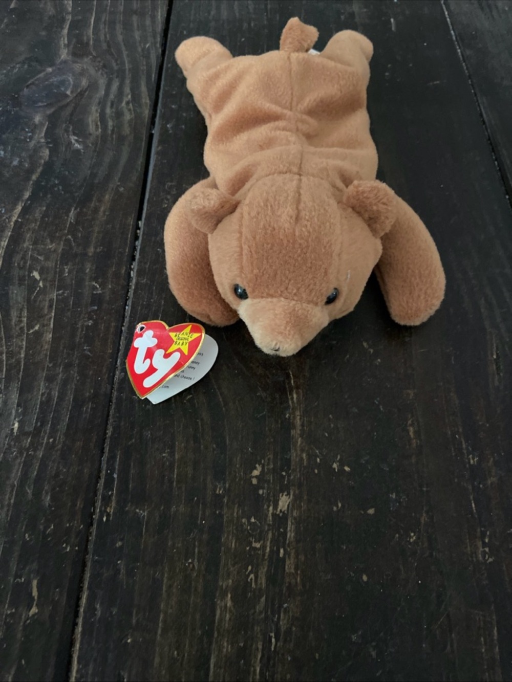 Ty Beanie Baby Cubbie - Brown